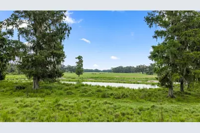 County Road 774, Webster, FL 33597 - Photo 4