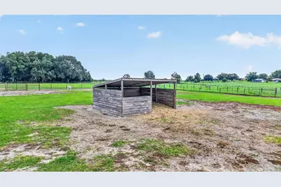14125 SE 175th Street, Weirsdale, FL 32195 - Photo 12