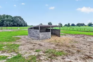14125 SE 175th St, Weirsdale, FL 32195 - Photo 12
