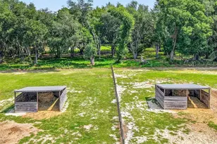 14125 SE 175th St, Weirsdale, FL 32195 - Photo 10