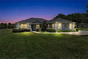 18145 Great Blue Heron Dr, Groveland, FL 34736 - Photo 1
