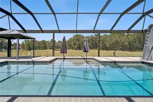 18145 Great Blue Heron Dr, Groveland, FL 34736 - Photo 36