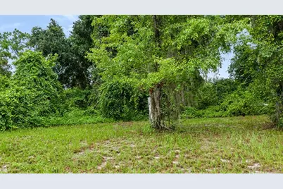 Trotting Horse Lane, Tavares, FL 32778 - Photo 10