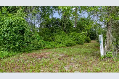 Trotting Horse Lane, Tavares, FL 32778 - Photo 46