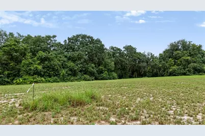 Trotting Horse Lane, Tavares, FL 32778 - Photo 8