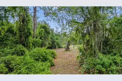 Trotting Horse Lane, Tavares, FL 32778 - Photo 44