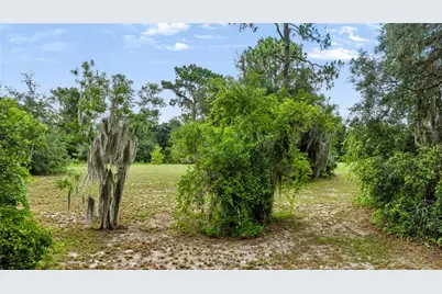Trotting Horse Lane, Tavares, FL 32778 - Photo 42
