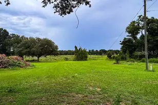 11300 Valley View Dr, Howey in the Hills, FL 34737 - Photo 4