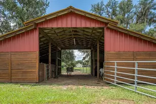 2242 Cr 543, Sumterville, FL 33585 - Photo 52