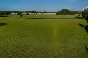 2242 Cr 543, Sumterville, FL 33585 - Photo 40