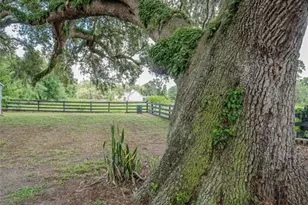 2242 Cr 543, Sumterville, FL 33585 - Photo 56