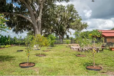 2242 Cr 543, Sumterville, FL 33585 - Photo 48