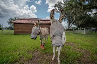 2242 Cr 543, Sumterville, FL 33585 - Photo 56