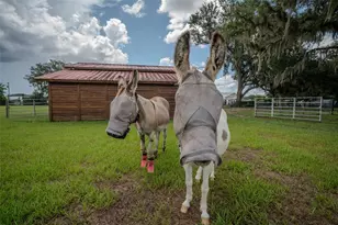 2242 Cr 543, Sumterville, FL 33585 - Photo 56