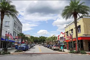 601 W Old US Hwy 441, Mount Dora, FL 32757 - Photo 24