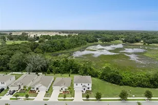 33622 Sky Blossom Cir, Leesburg, FL 34788 - Photo 46