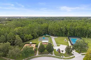 2019 Capri Ln, Mount Dora, FL 32757 - Photo 68