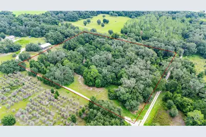 Se 44 Place, Bushnell, FL 33513 - Photo 10