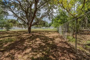 1049 Birch Blvd, Tavares, FL 32778 - Photo 4