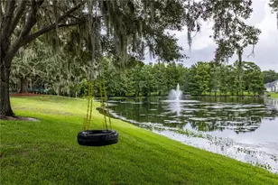 34317 Windley Cir, Eustis, FL 32726 - Photo 64