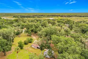 26586 SE Hwy 42, Umatilla, FL 32784 - Photo 52