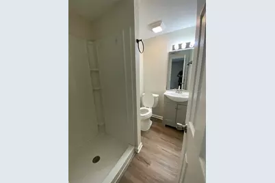 803 E Hazzard Avenue, Eustis, FL 32726 - Photo 12