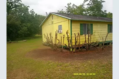 6229 Terrell Road, Mount Dora, FL 32757 - Photo 10