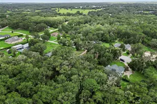 30440 Jubilee Way, Sorrento, FL 32776 - Photo 48