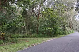 County Rd 730, Webster, FL 33597 - Photo 1