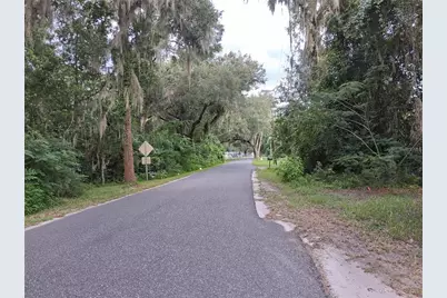 County Rd 730, Webster, FL 33597 - Photo 2