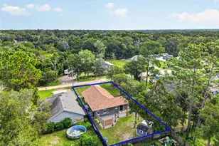 25912 Eufaula Way, Mount Plymouth, FL 32776 - Photo 4
