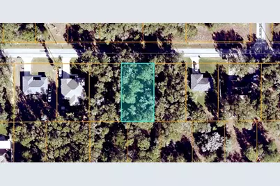 Se 139th Lane, Summerfield, FL 34491 - Photo 2