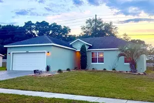 33911 Emerald Pond Loop, Leesburg, FL 34788 - Photo 1