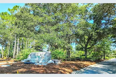 8542 SW 55th Street Road, Ocala, FL 34481 - Photo 48