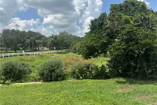 5019 El Destino Dr, Leesburg, FL 34748 - Photo 30
