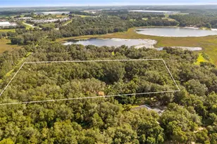 18934 State Road 19, Groveland, FL 34736 - Photo 64