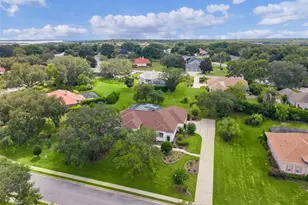 39407 Treeline Dr, Lady Lake, FL 32159 - Photo 68