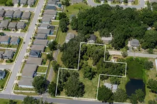 711 Pine, Mount Dora, FL 32757 - Photo 1