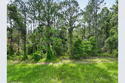 Dudley Avenue, Mount Dora, FL 32757 - Photo 14