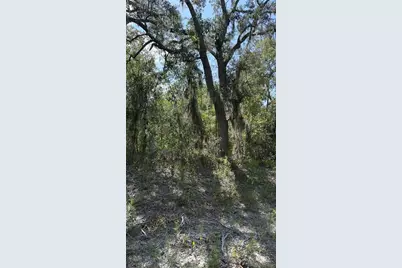 2199 N Stampede Drive, Beverly Hills, FL 34465 - Photo 1