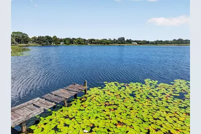 16018 Dora Avenue, Tavares, FL 32778 - Photo 6