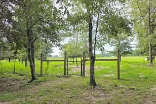 15518 192nd St, O'Brien, FL 32071 - Photo 30