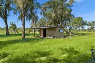 16215 Douglas Rd, Groveland, FL 34736 - Photo 24