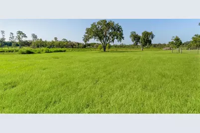 16215 Douglas Road, Groveland, FL 34736 - Photo 8