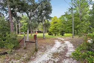 24939 Old Deer Rd, Paisley, FL 32767 - Photo 6