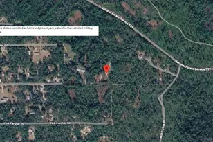 24939 Old Deer Rd, Paisley, FL 32767 - Photo 48