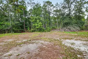 24939 Old Deer Rd, Paisley, FL 32767 - Photo 42