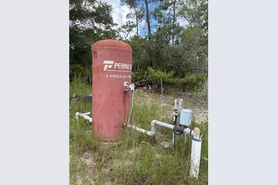 24939 Old Deer Road, Paisley, FL 32767 - Photo 50