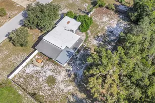 809 Donnelly St, Eustis, FL 32726 - Photo 30