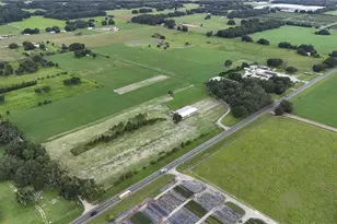 6622 Sr 471, Bushnell, FL 33513 - Photo 44